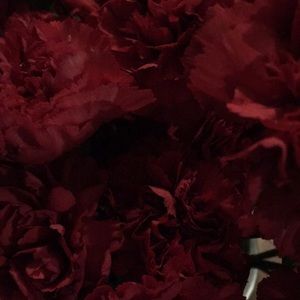 Meet your Posher, Janell